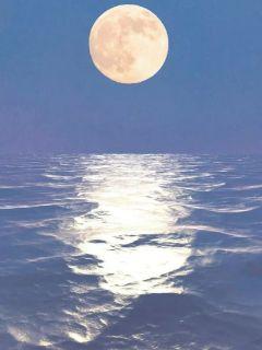 ����֮��Ѫ��Ӱ